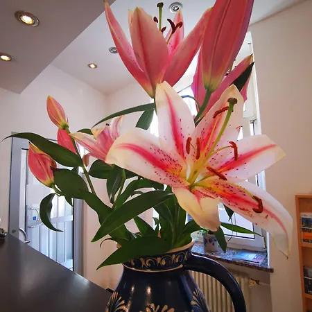 Hostel City Hostel *