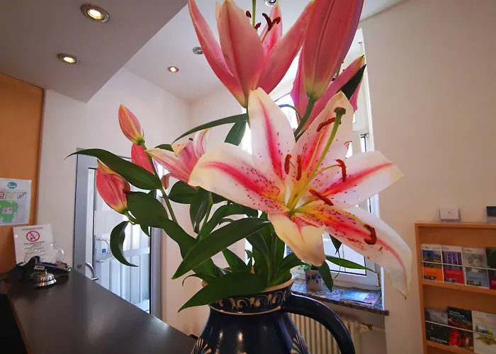 Hostel City Hostel *