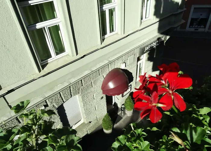 Hostel City Hostel *